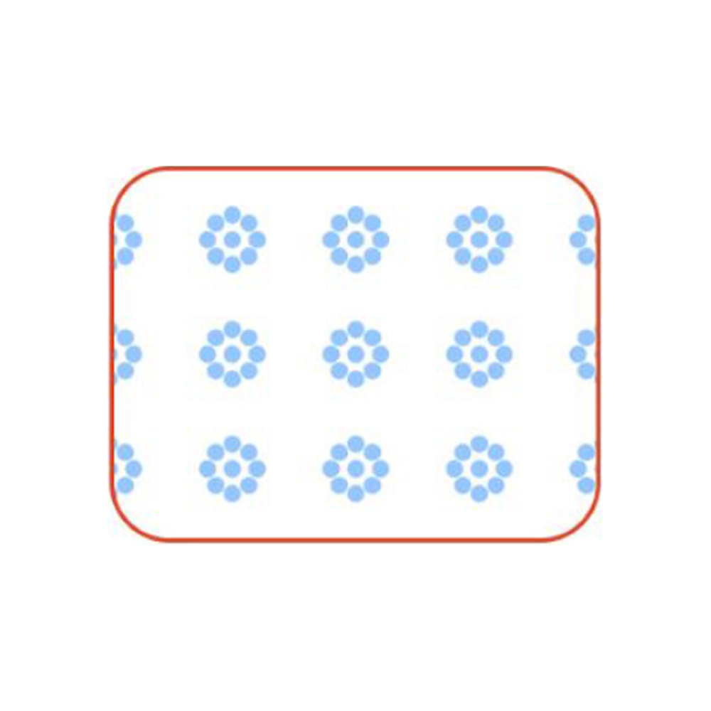 [BARIGOWA] Glass Foot Callus Remover (Wide)
