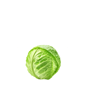 [ROOTIN] Cabage Crunch (30 sachets)
