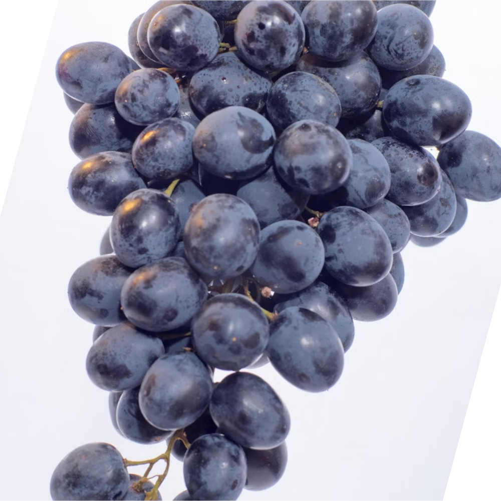 [HELLO MY FARMER] Grape Juice (120ml × 50 sachets)