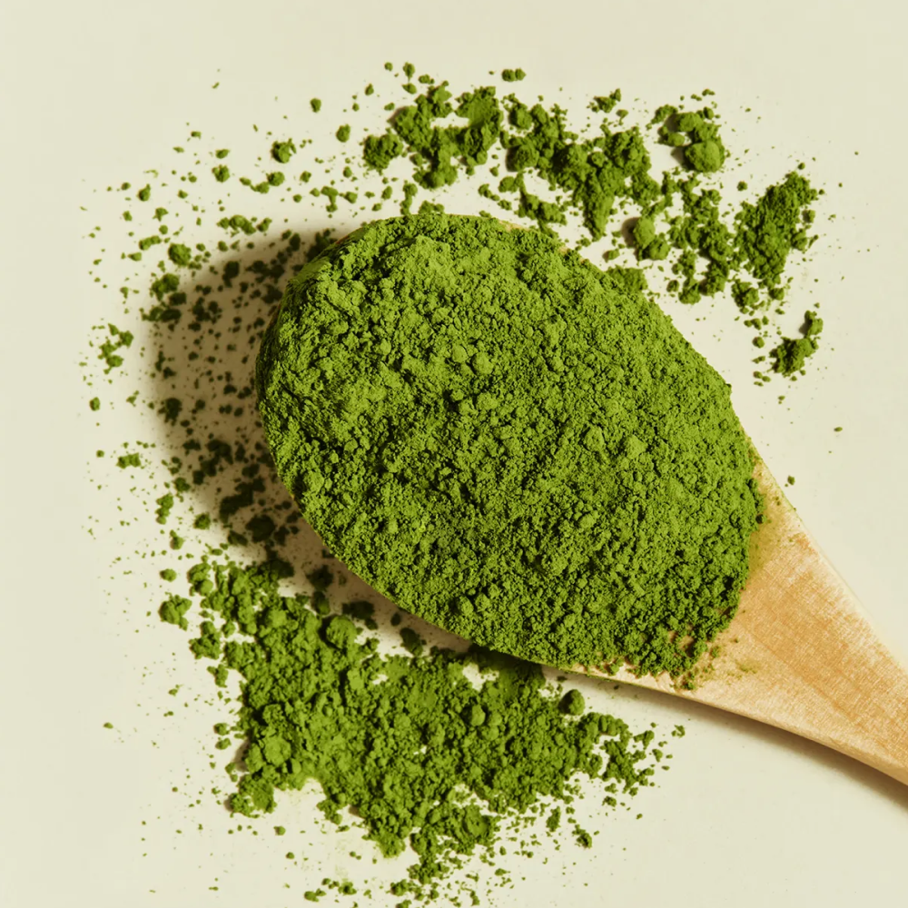 GreenTeaPowder_powder photo