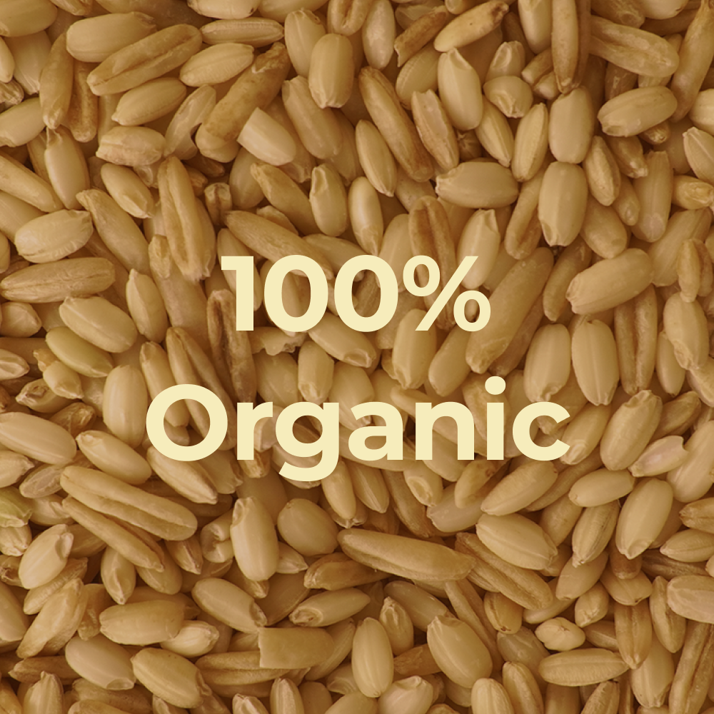 [Bobae Village] Organic Oat & Brown Rice Bowl (180g x 24 Bowls)