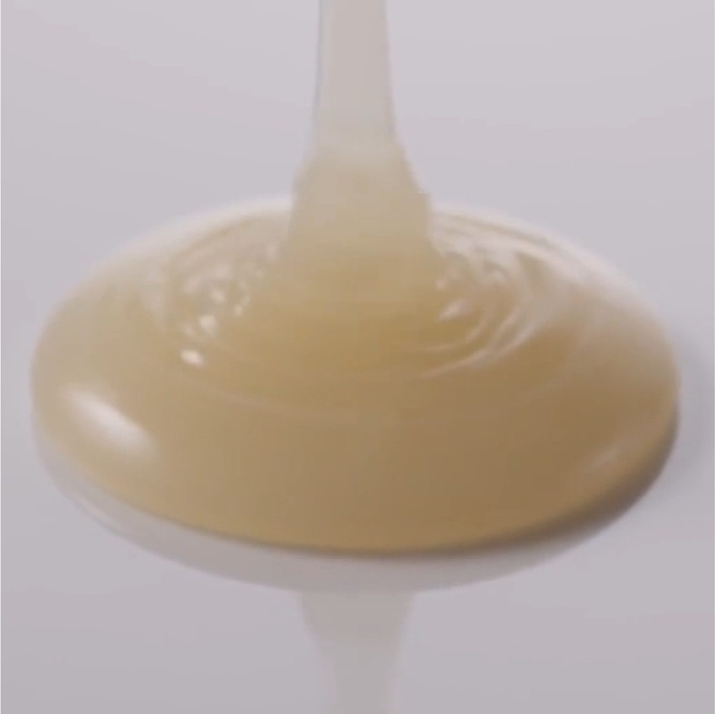 [AYUNCHE] Refining Clear Shampoo (500g)