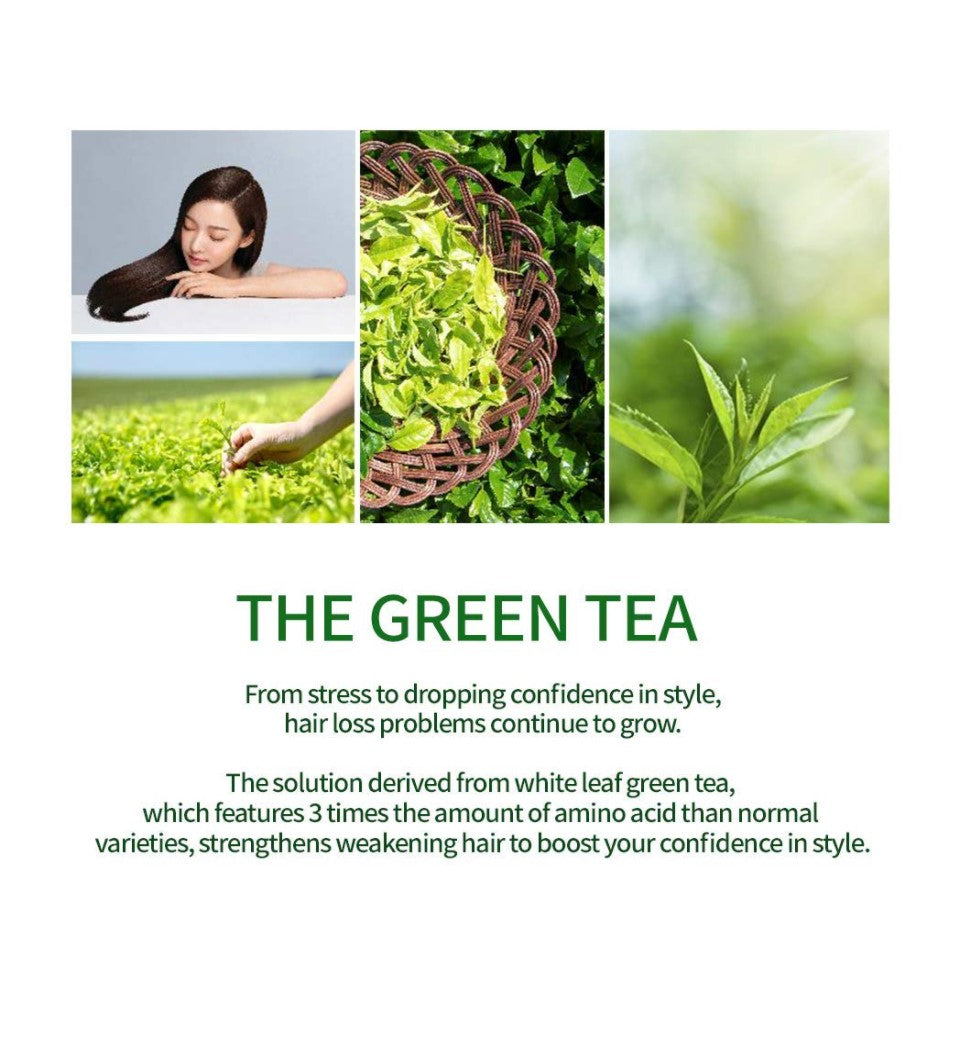 økse Farmakologi forretning The Green Tea Shampoo [Mild - For Sensitive Scalp] 500g – olcony